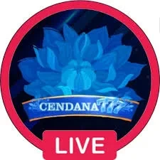 Review Aplikasi cendana777